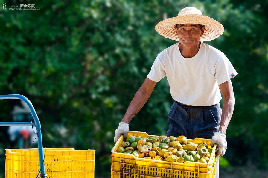 SofM:“水泥地上打球”的天才少年“太阳成集团tyc7111cc”(图4) 太阳成集团tyc7111cc