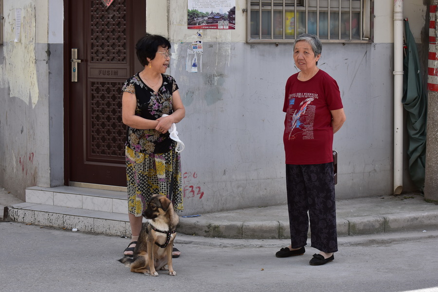 “太阳成集团tyc7111cc”THX携手雷蛇灵刃亮相2019 BIRTV(图1) 太阳成集团tyc7111cc