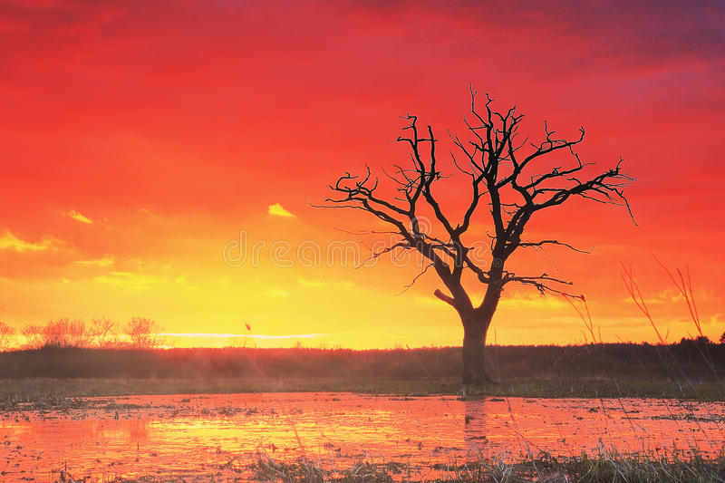 2017LOL5月阿卡丽神秘商店活动官网地址:获取阿卡丽神秘钥匙“太阳成集团tyc7111cc”(图4) 太阳成集团tyc7111cc