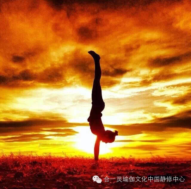 “太阳成集团tyc7111cc”沪湘两地七校职业教育校际合作签约仪式在张家界航院举行(图1) 太阳成集团tyc7111cc