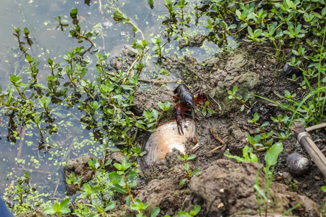 太阳成集团tyc7111cc-东丽区学前班幼小衔接寒假班招生中(图1) 太阳成集团tyc7111cc