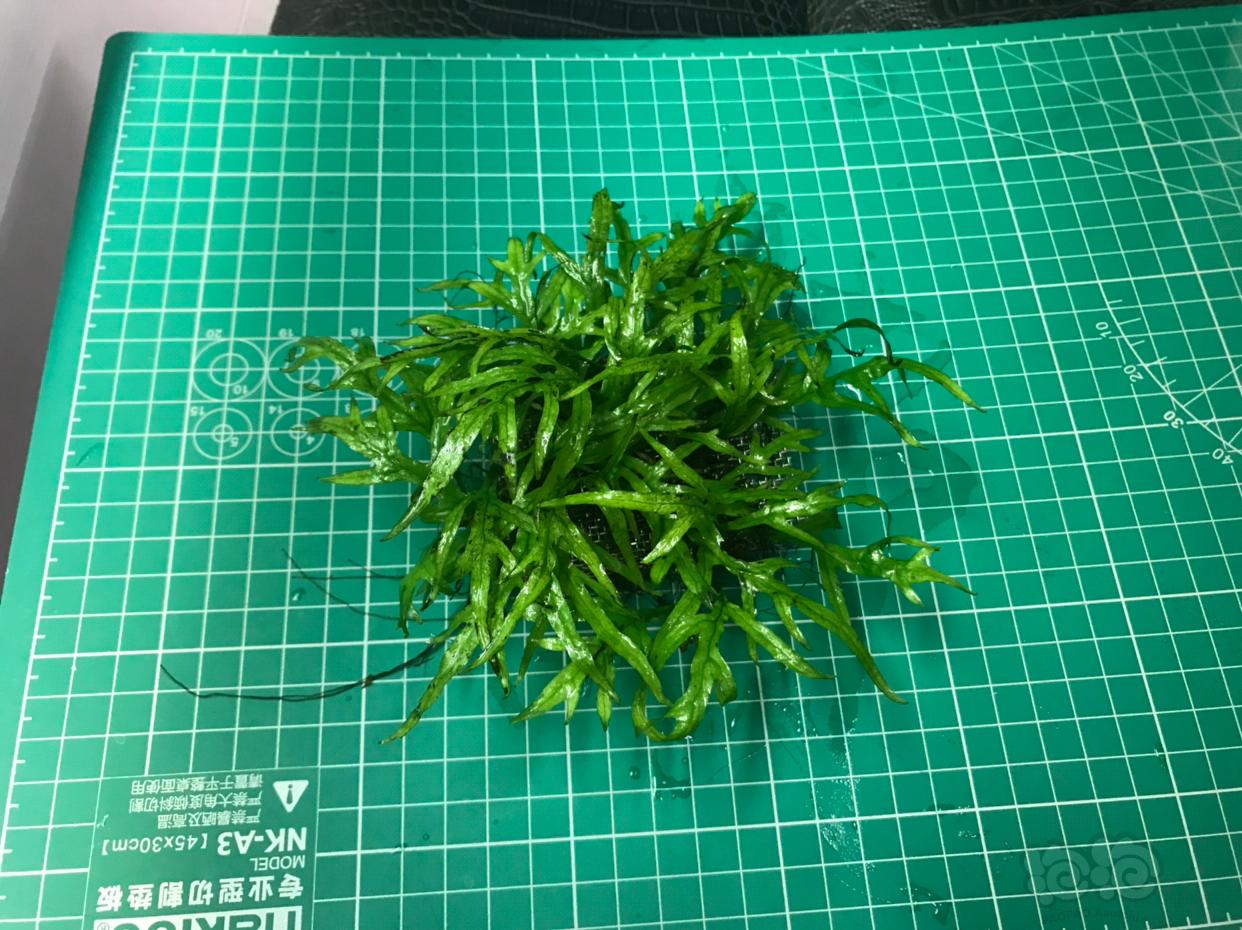 “太阳成集团tyc7111cc”河南职业教育今年起将深化改革(图3) 太阳成集团tyc7111cc