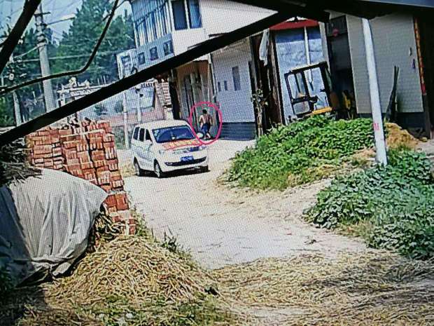 斗鱼嘉年华杰克船长现身, 网友: 放开我们的轩子巨二兔!‘太阳成集团tyc7111cc’(图1) 太阳成集团tyc7111cc