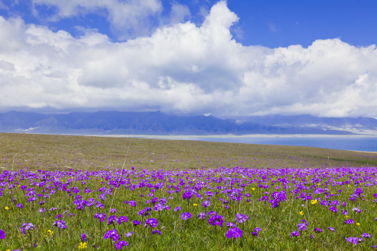 太阳成集团tyc7111cc-广佛肇三地中职互招5月20日起报名(图2) 太阳成集团tyc7111cc