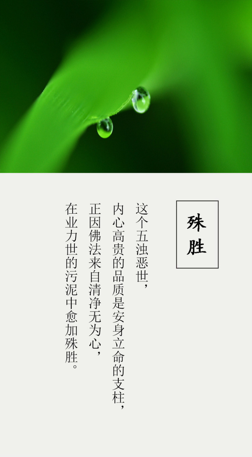 太阳成集团tyc7111cc