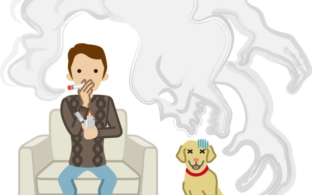 ‘太阳成集团tyc7111cc’成都市青羊区天府幼儿园开展2019年校级干部考核工作(图1) 太阳成集团tyc7111cc