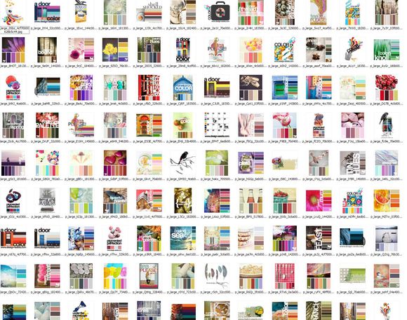 沙湾路小学参加全国自主教育联盟成都共同体首届论坛【太阳成集团tyc7111cc】(图2) 太阳成集团tyc7111cc