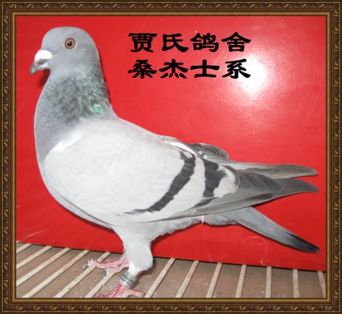 CSGO亚洲锦标赛TYLOO首战 力克泰国队大比分取胜“太阳成集团tyc7111cc”(图1) 太阳成集团tyc7111cc