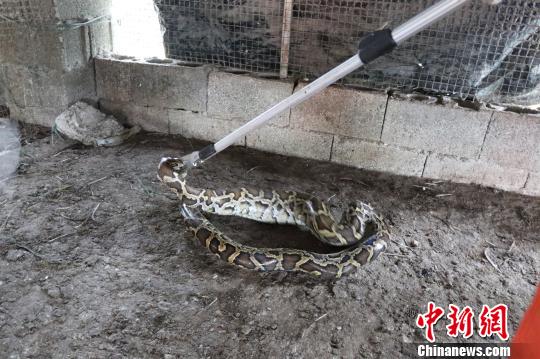 太阳成集团tyc7111cc