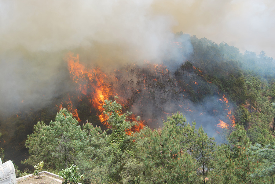 刀塔传奇2017年2月魂匣是谁 2月魂匣英雄预测分析【太阳成集团tyc7111cc】(图2) 太阳成集团tyc7111cc