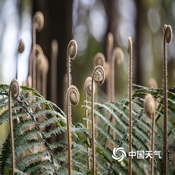 【太阳成集团tyc7111cc】《魔兽世界》2017年3月18日在线修正内容一览(图1) 太阳成集团tyc7111cc