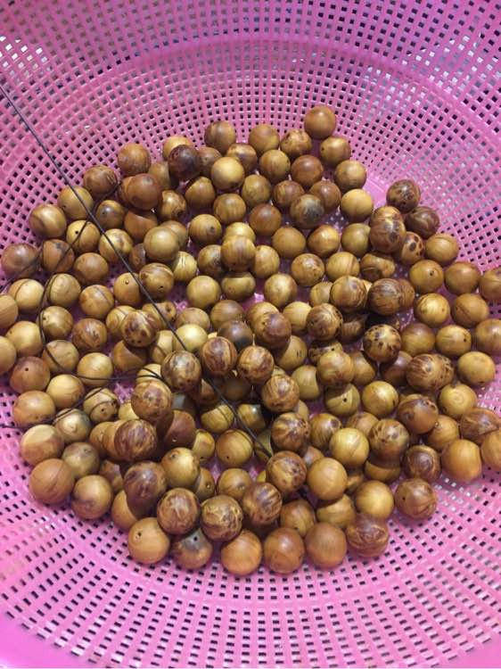 太阳成集团tyc7111cc