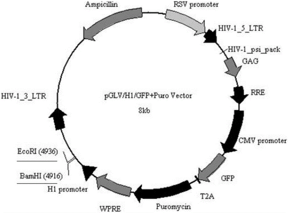 太阳成集团tyc7111cc