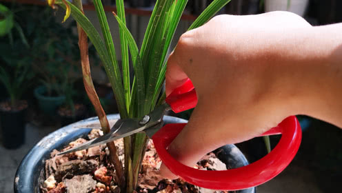 太阳成集团tyc7111cc