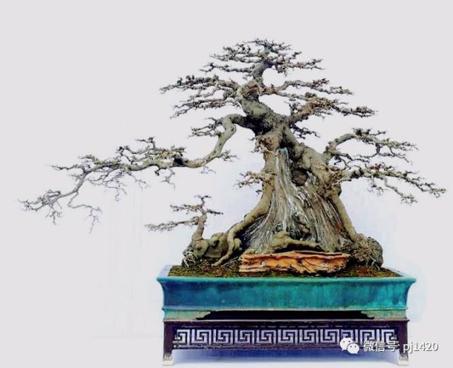 太阳成集团tyc7111cc