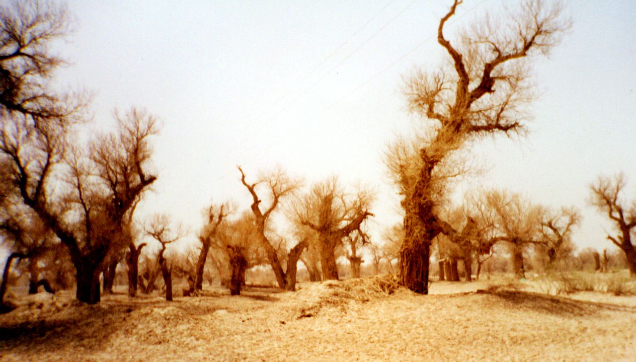 太阳成集团tyc7111cc