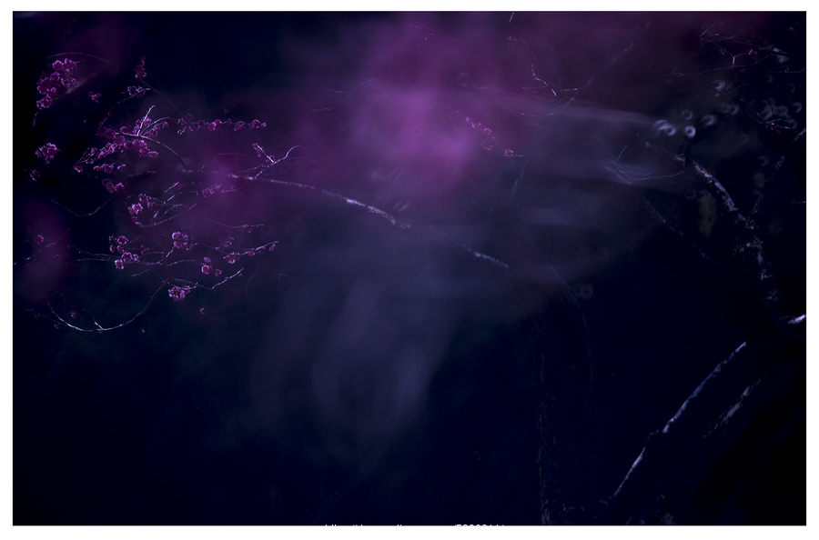 太阳成集团tyc7111cc