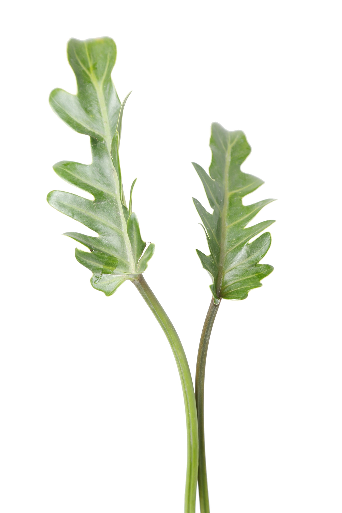 太阳成集团tyc7111cc