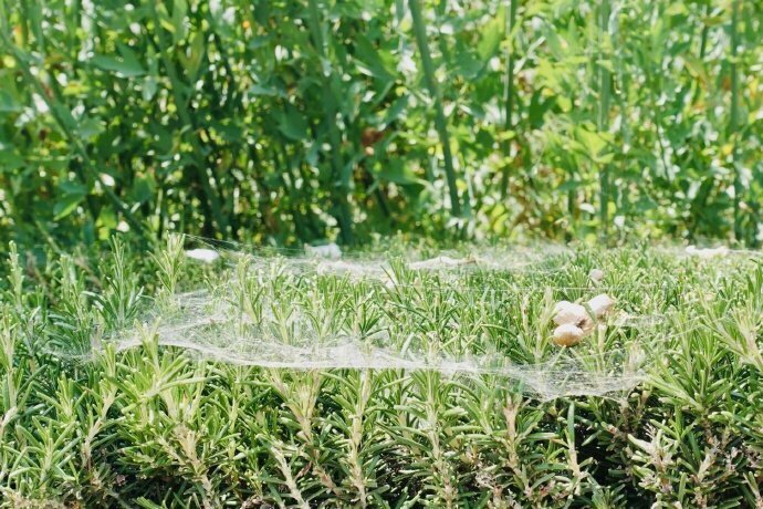 太阳成集团tyc7111cc