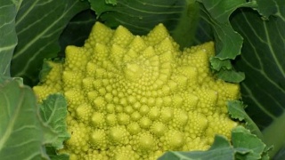 太阳成集团tyc7111cc