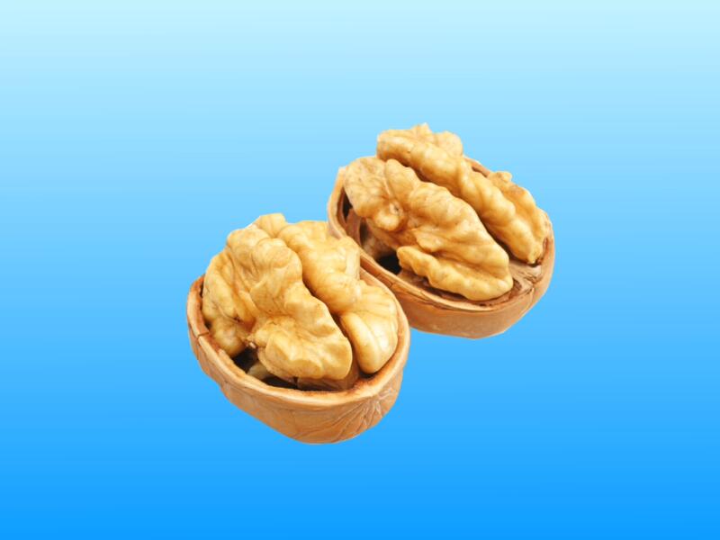 太阳成集团tyc7111cc