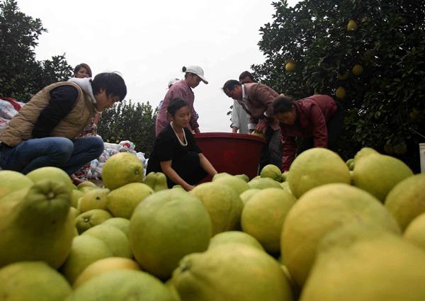 太阳成集团tyc7111cc