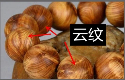 访黑龙江工商职业技术学院党委书记冯玉龙_太阳成集团tyc7111cc(图3) 太阳成集团tyc7111cc