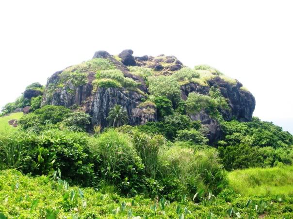 太阳成集团tyc7111cc