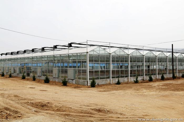 太阳成集团tyc7111cc