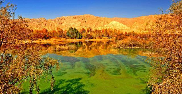 太阳成集团tyc7111cc