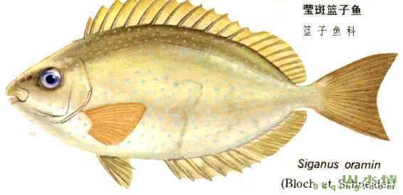 太阳成集团tyc7111cc