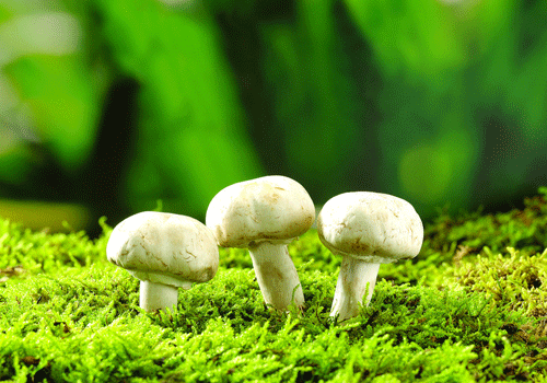 太阳成集团tyc7111cc