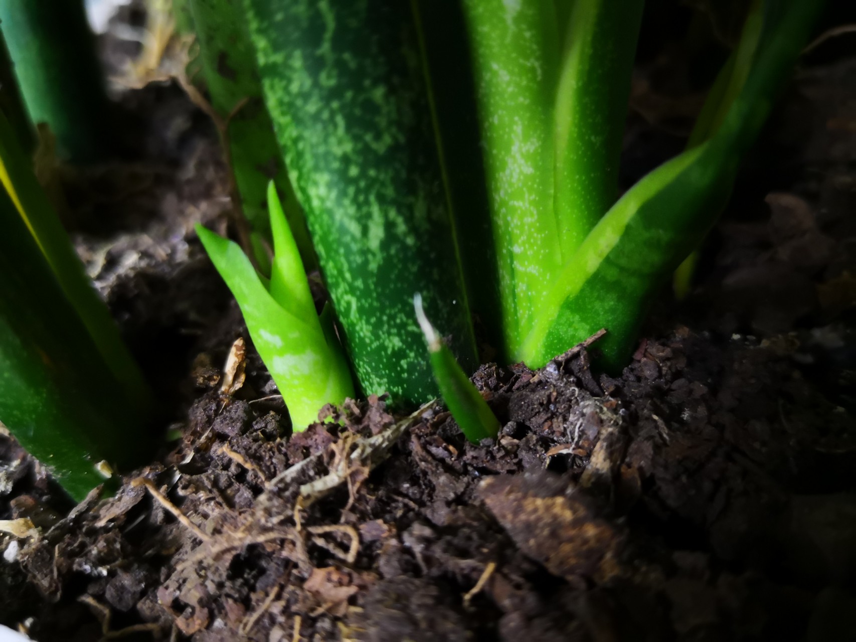 太阳成集团tyc7111cc