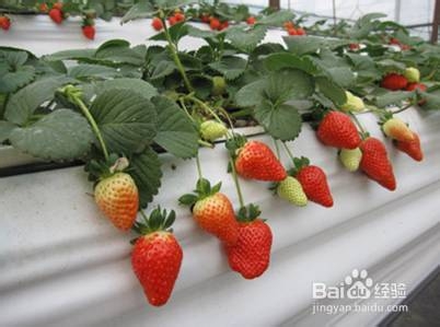 太阳成集团tyc7111cc