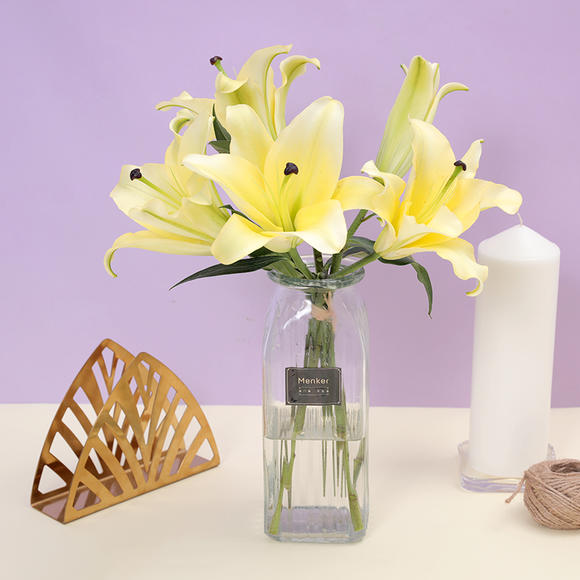 太阳成集团tyc7111cc