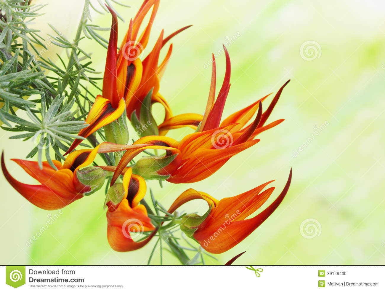 《街头篮球》SF超级特殊角色选择指南之不朽战队-太阳成集团tyc7111cc(图1) 太阳成集团tyc7111cc